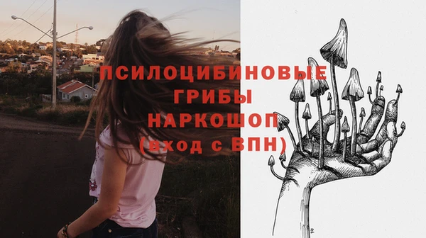 стаф Алзамай