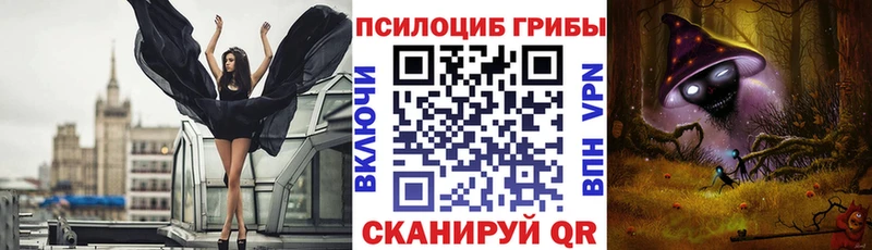 где найти наркотики  это телеграм  Галлюциногенные грибы мицелий  Камызяк 